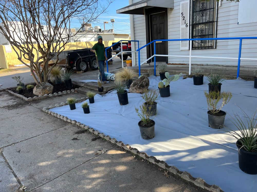 All Photos for Cortez Landscaping Services in Mesquite, TX
