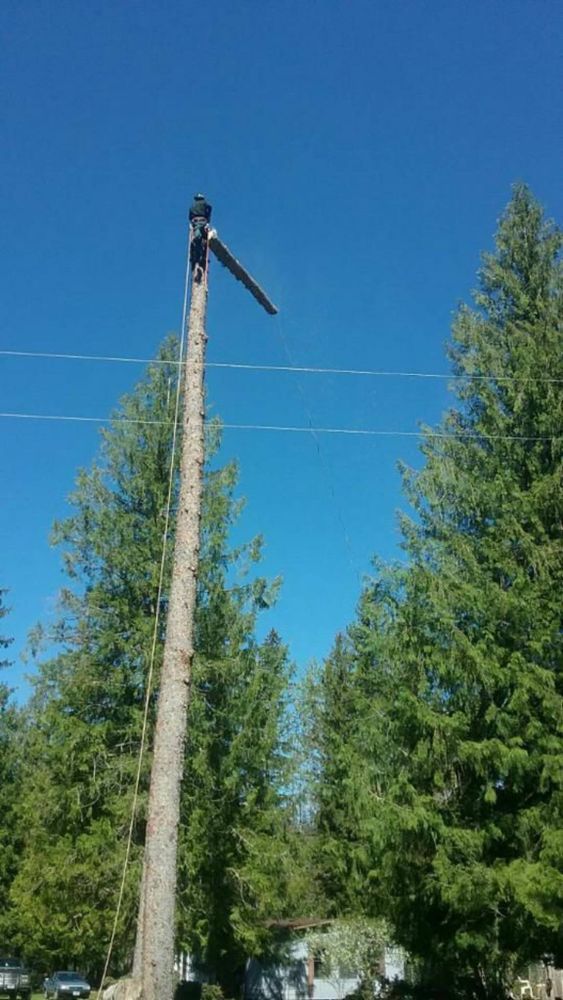 All Photos for Ekstedt Tree Services in Troy, MT