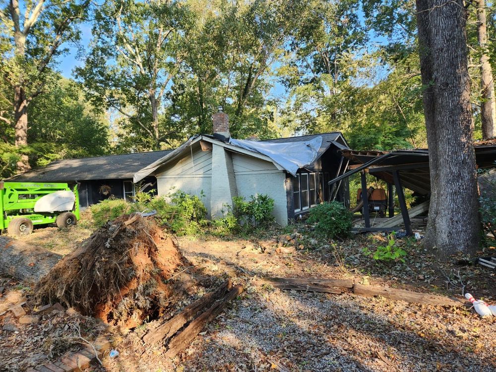 Tree Removal for Stumpbusters Tree Service in Louisa County, VA