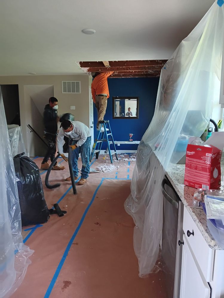 Subfloor repair and Beam Shoring for Dead Tree General Contracting in Carbondale, Illinois