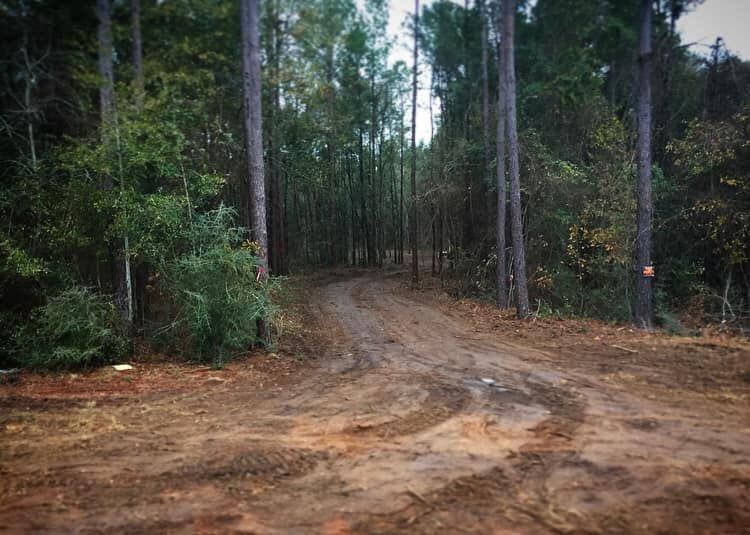 Forestry Service for Coldwater Creek Enterprises in Pace, FL