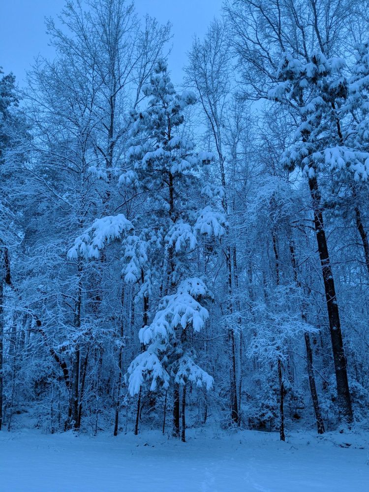 All Photos for CMS Electric, Inc. in Louisburg, NC