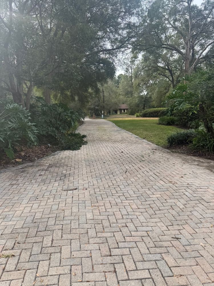 All Photos for Amerigrown Tree And Lawn in Apopka, FL