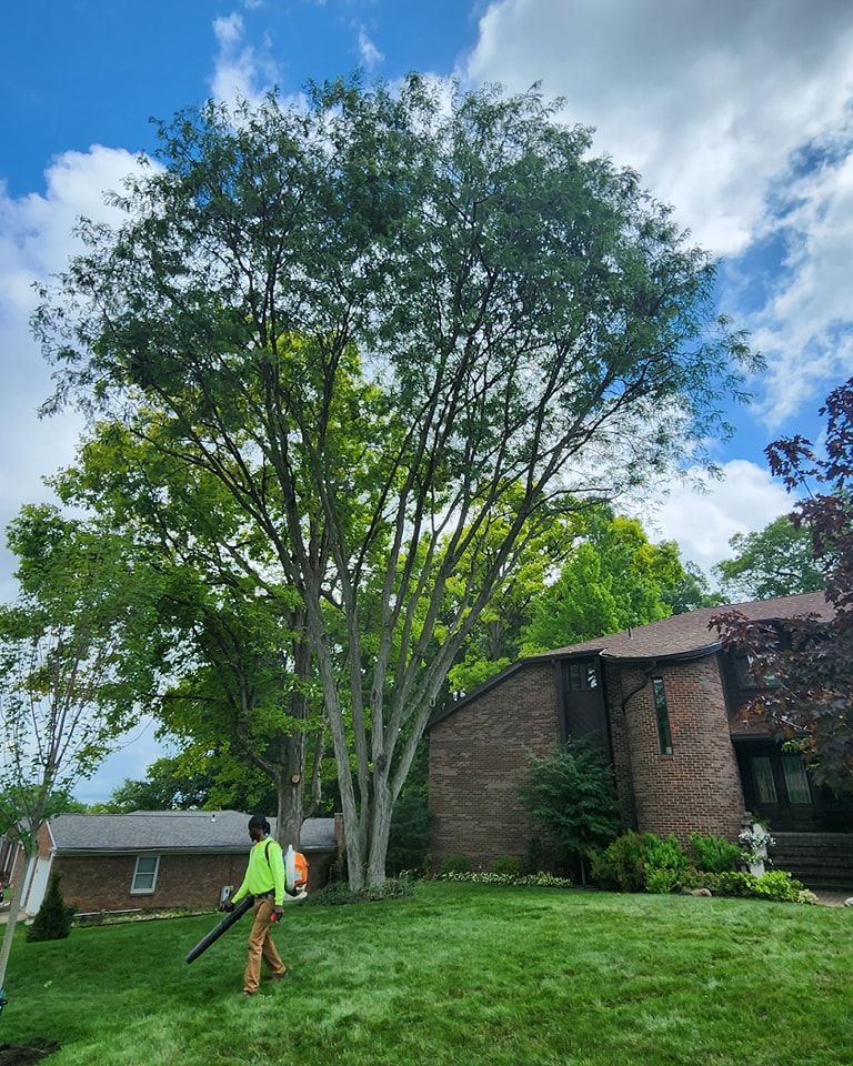 Tree Trimming and Removal for F & F Tree Service in Beavercreek, OH