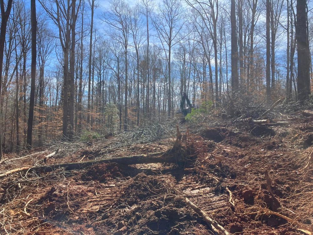 Our tree trimming and removal service offers professional expertise in maintaining the health and appearance of your property by safely removing unwanted trees or branches to enhance the overall landscape. for Triple P Excavation in Atlanta, GA