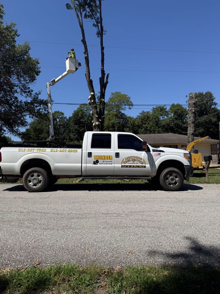 All Photos for Lightning Tree Service in Corydon, IN