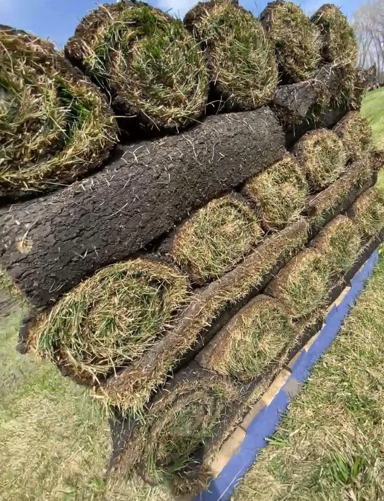 Our irrigation services ensure your landscape stays lush and healthy, with expertly installed systems designed to efficiently water your garden, saving both time and resources while enhancing the beauty of your outdoor space. for Boss Construction in Saint Paul, MN