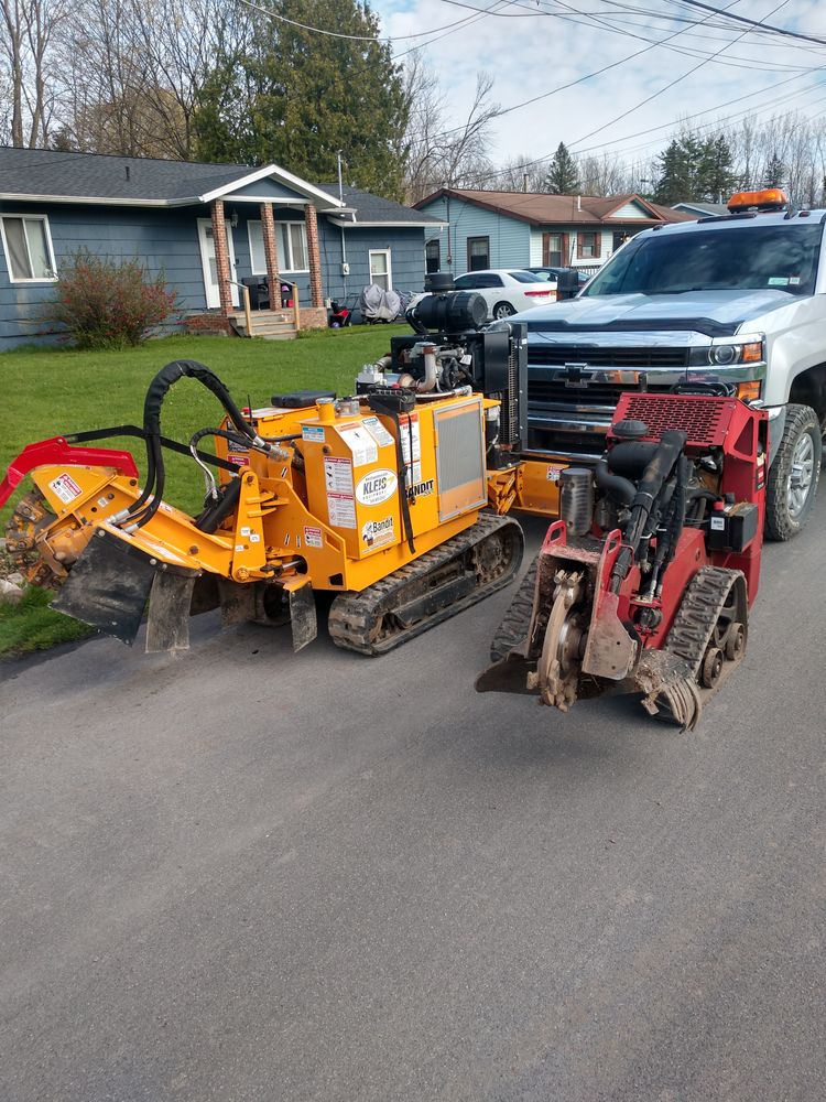 Stump Removal for TH Property Service, LLC in Manlius, NY