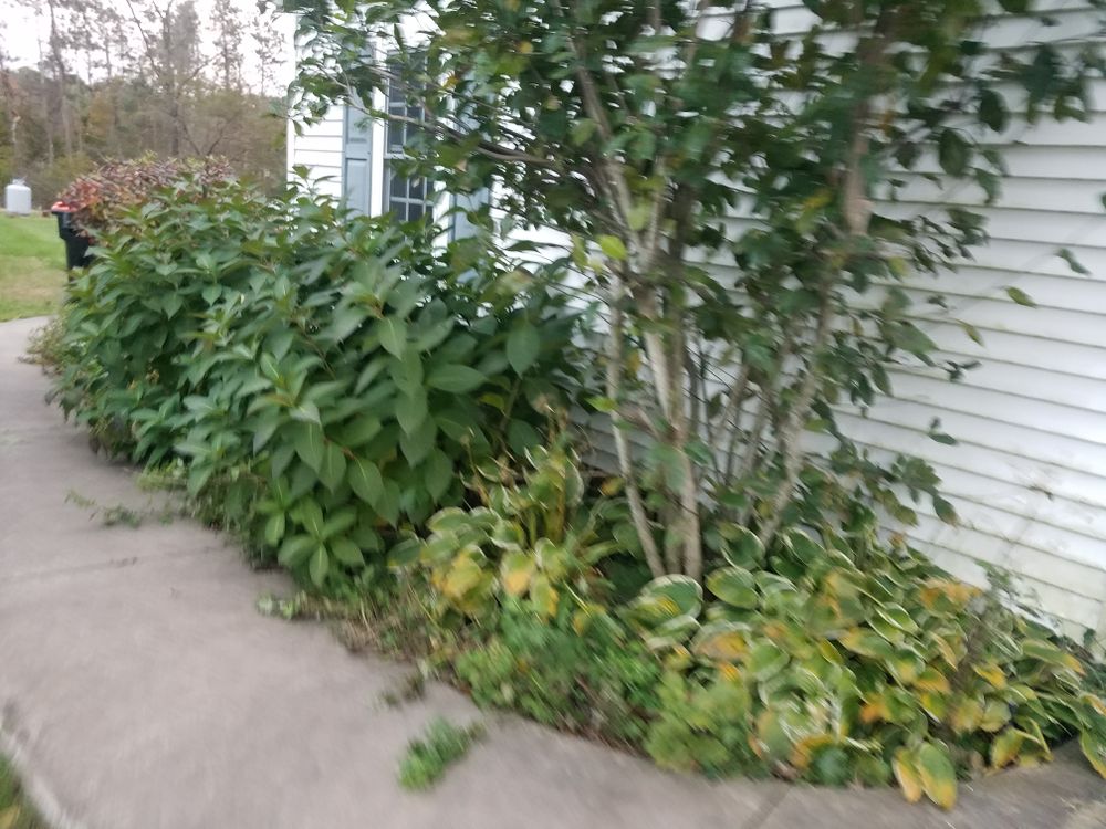 All Photos for Down Home Landscaping in Stillwater, PA