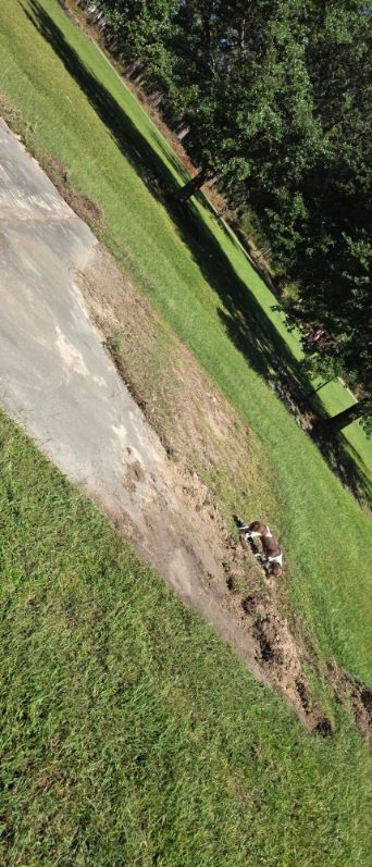 All Photos for Precision Exterior Services in Blackshear, GA