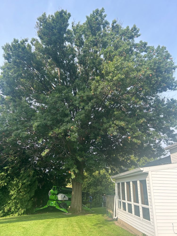 All Photos for Fransen's Tree Service  in Freeport, IL