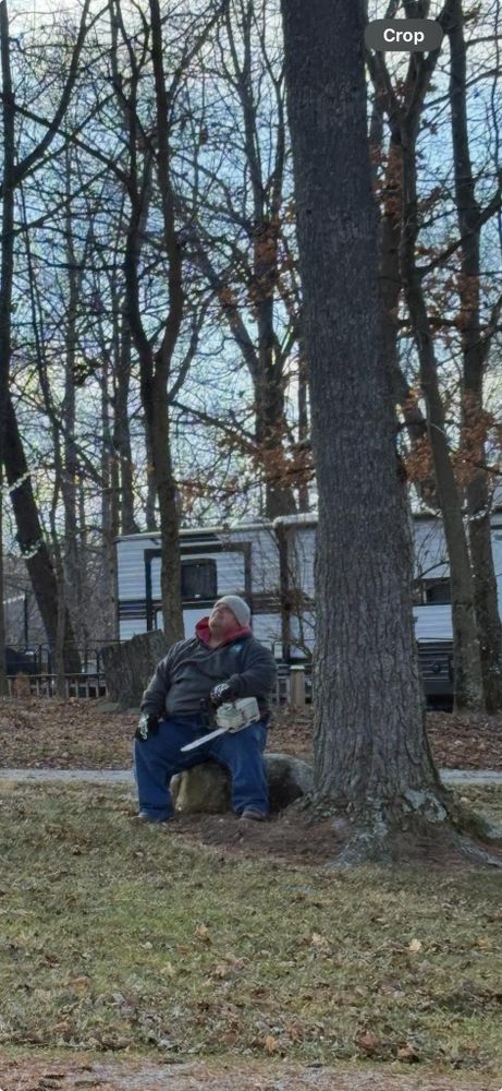 All Photos for Dig-It Tree Company in Mason, OH