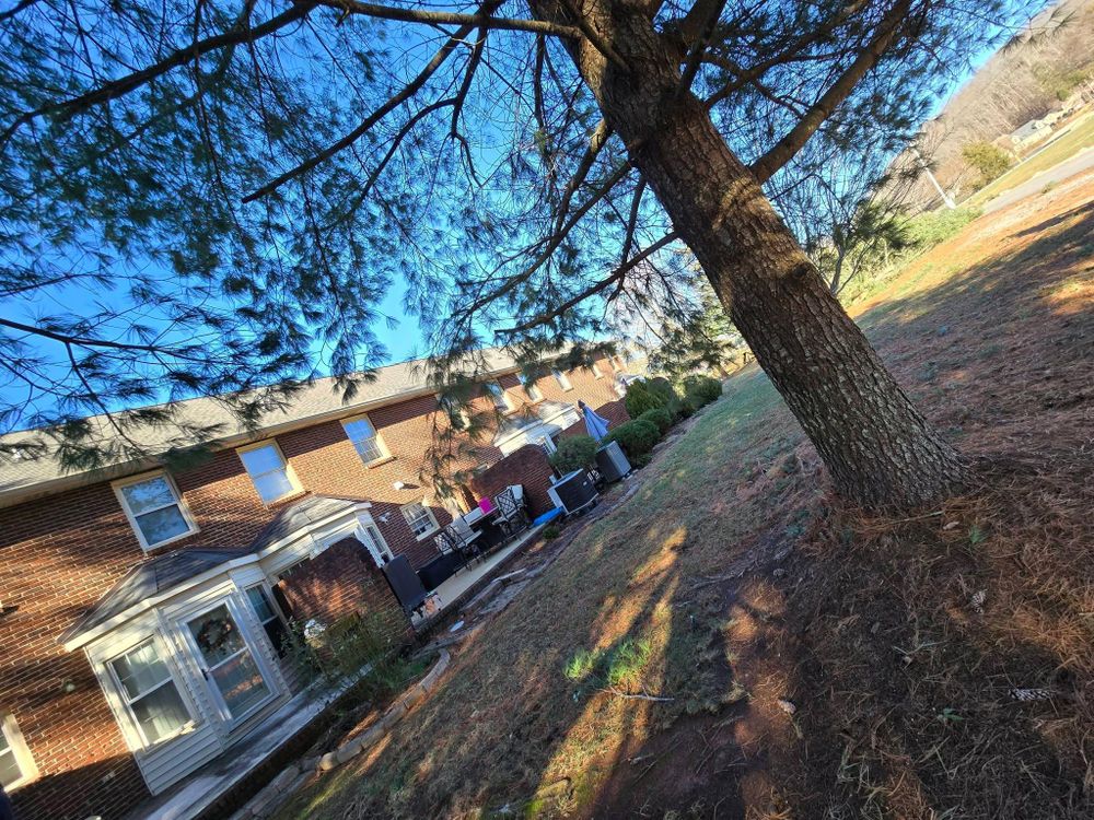 All Photos for M&L Lumber and Excavating in Jonesborough, TN