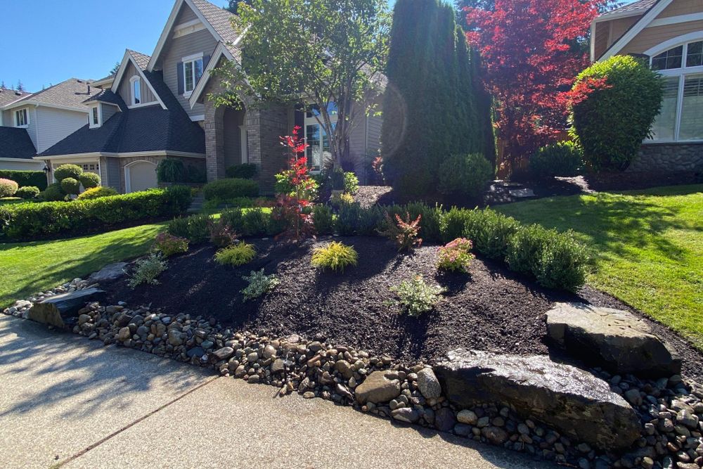 All Photos for MV Landscapes LLC in Everett, WA