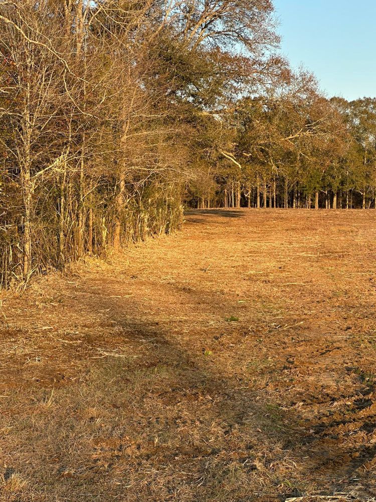 All Photos for White’s Land Maintenance in Milton,, FL
