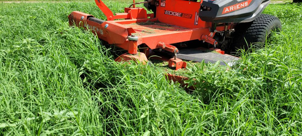 All Photos for Texican JLS in Manor, TX