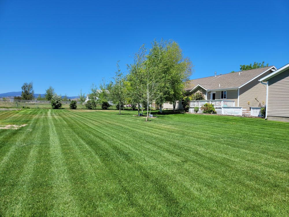 Landscaping for Yeti Snow and Lawn Services in Helena, Montana