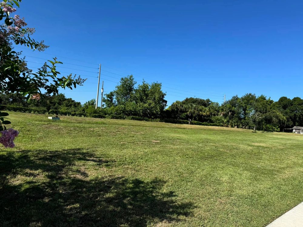 Landscaping for MyerScapes Environmental  in Lakeland, FL