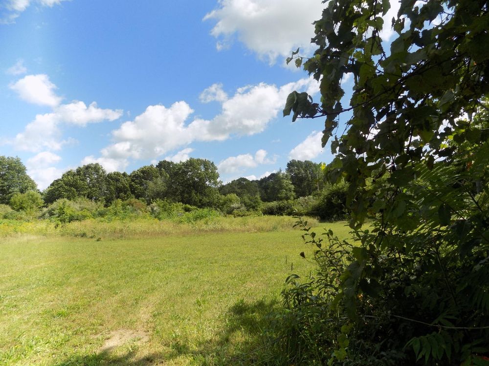 All Photos for Tala Real Estate in Coloma,  Michigan