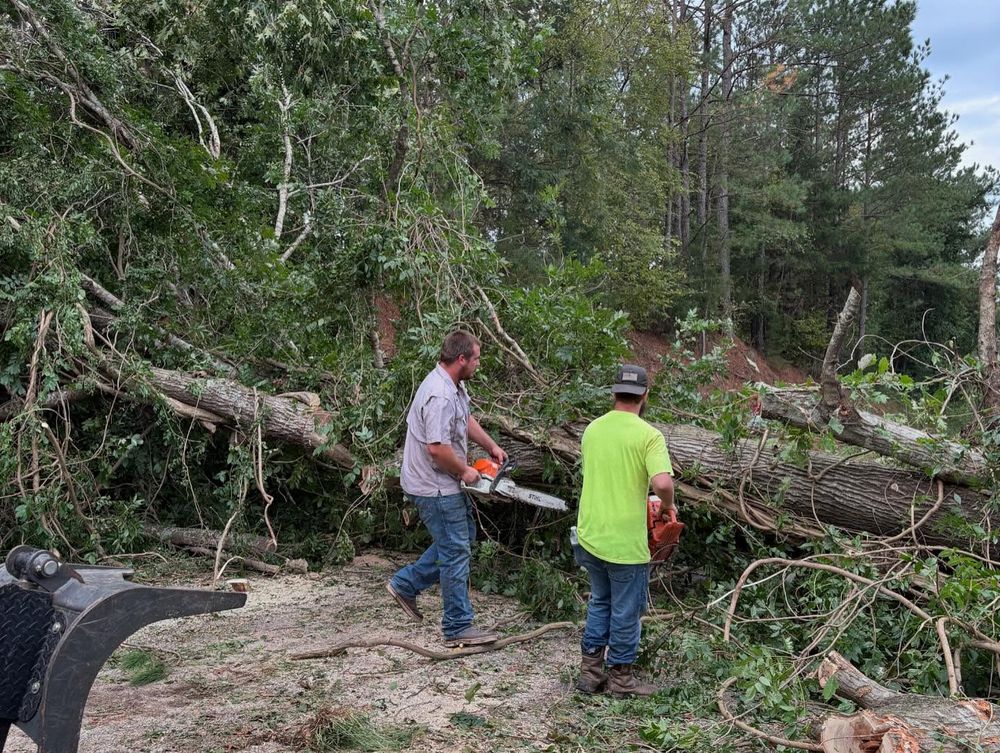 All Photos for Longhorn Fence & Land Development in Webster, TX