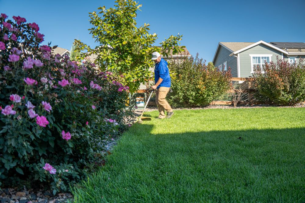 All Photos for Manscaped Lawn Care in Firestone, CO