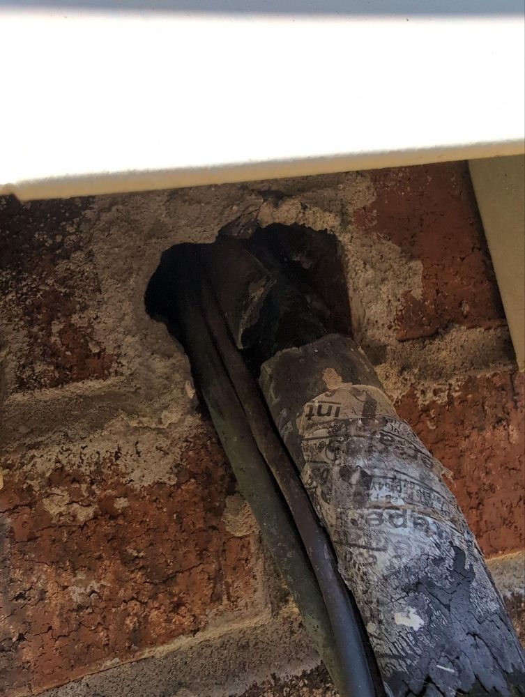 All Photos for Topper's Wildlife Removal in Garland, TX