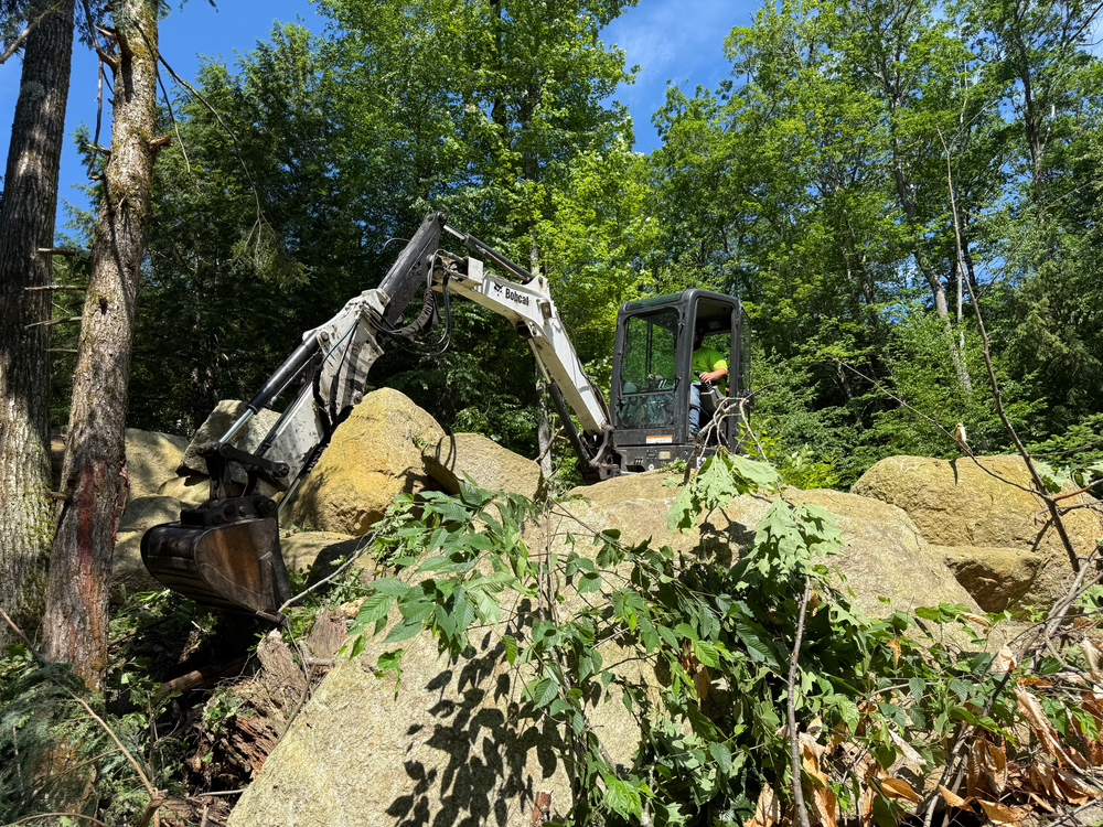All Photos for Abair Tree Service in Weare, NH