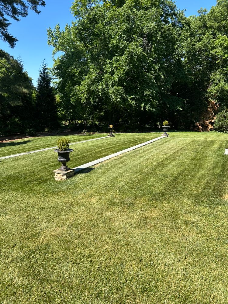 All Photos for Grass N Things LLC in Sandston, VA