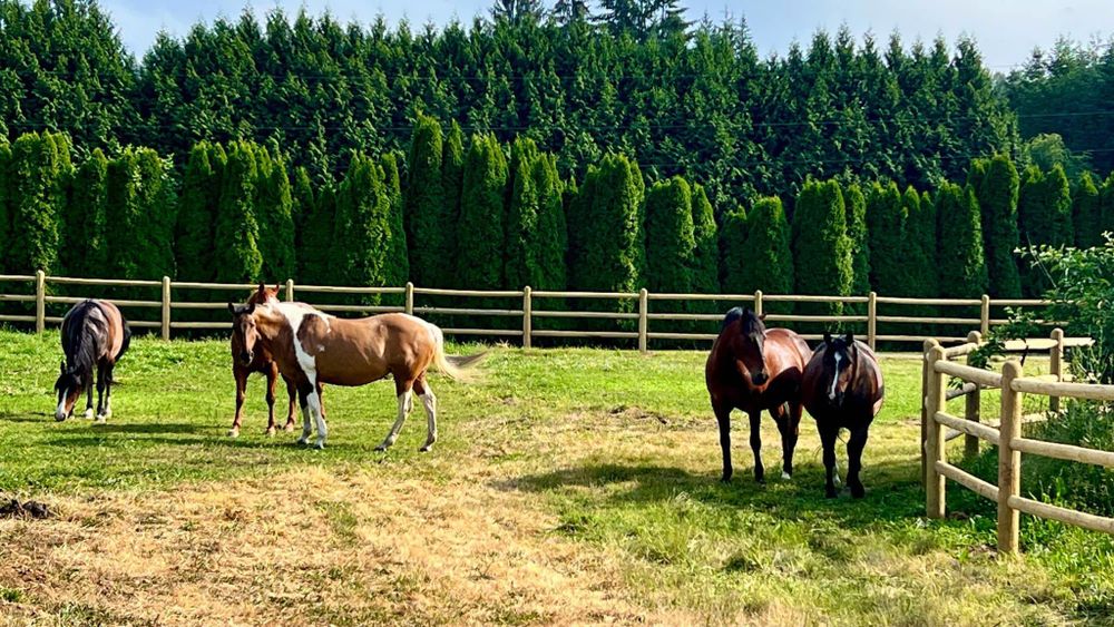 Fencing for Oats Equestrian Fencing LLC in Arlington, WA