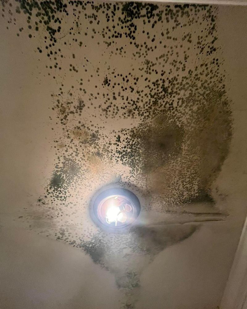 All Photos for Honey Do Oxford Pressure Washing and Soft Washing in Oxford, Mississippi