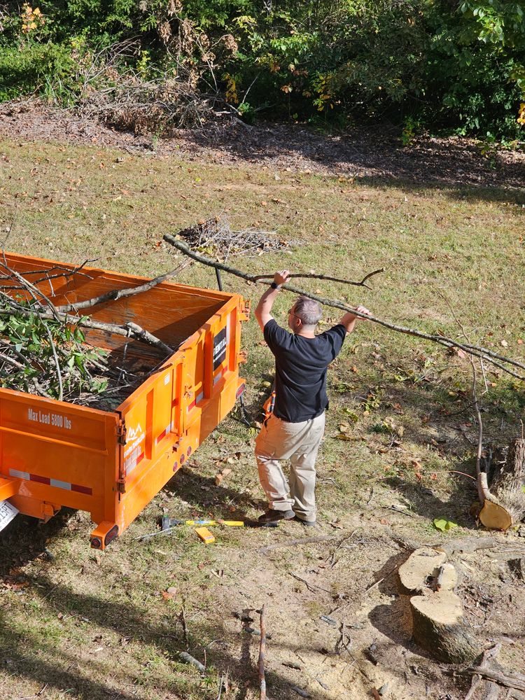 Other Services for Affordable Tree Service TN in White House, TN