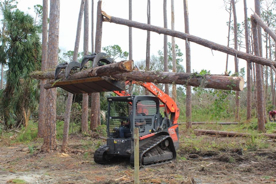Tree Removal for American Tree Masters in Alvin, TX