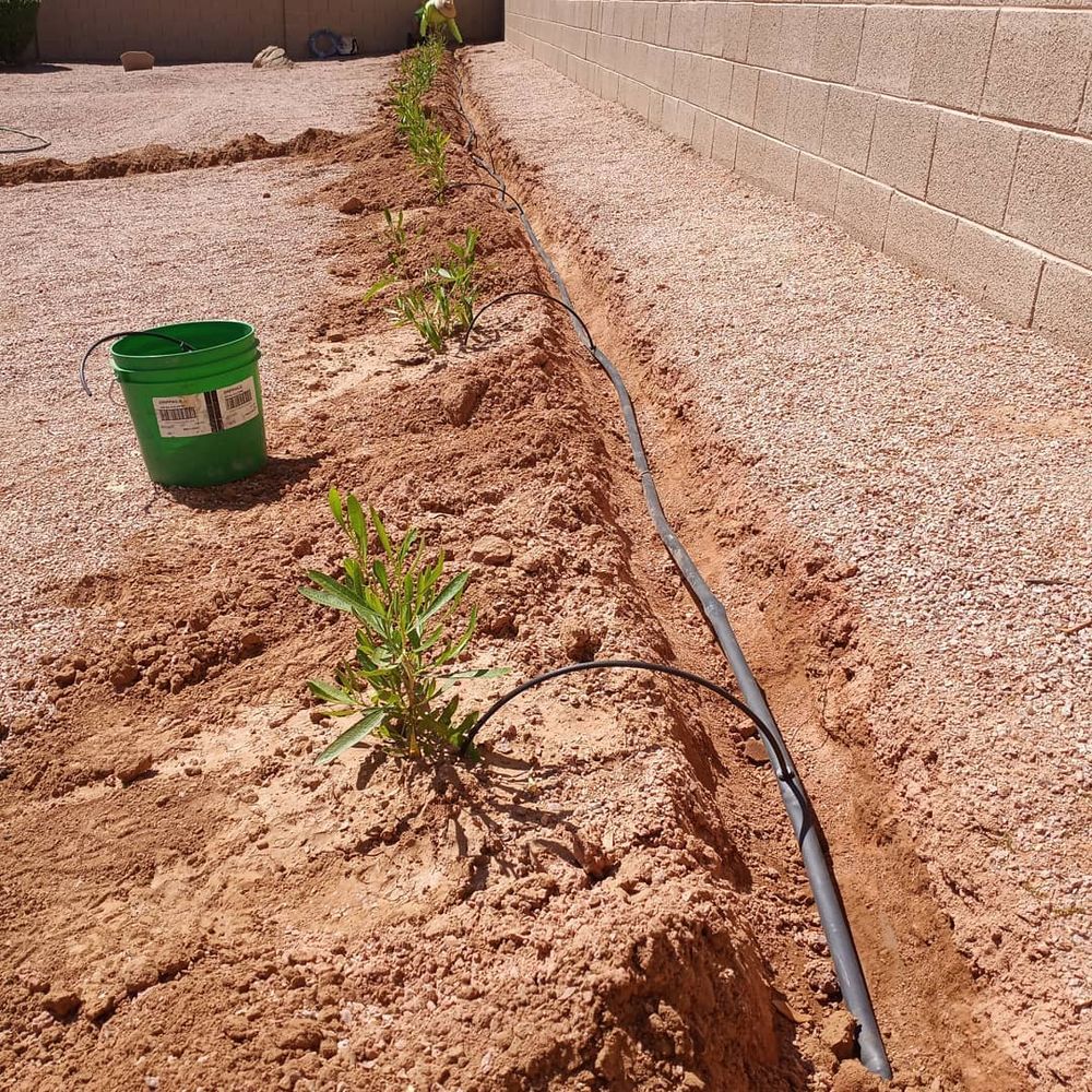 All Photos for CRAJE Landscaping LLC in Mesa, AZ