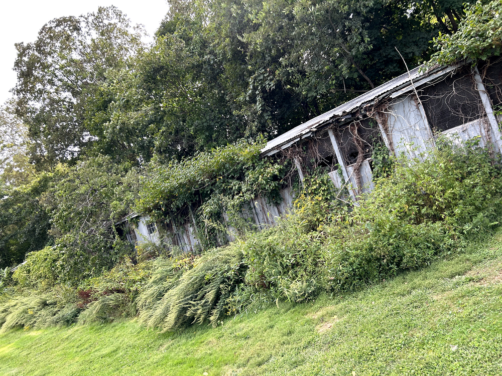 All Photos for Dibs Landscaping LLC in Cheshire, CT