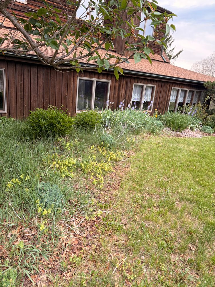 All Photos for Valencia’s Lawncare in Charlottesville, VA