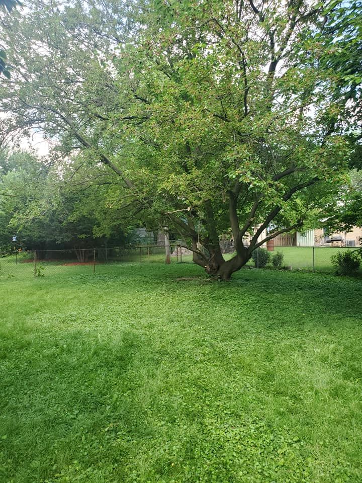 All Photos for Henry's Lawn Care in Rockford, IL