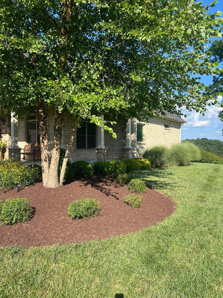 All Photos for Full Service Landscaping in Louisville, KY