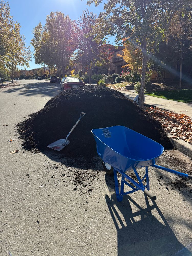 All Photos for CBA Landscaping in Hayward, CA