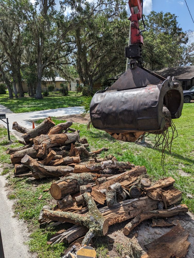All Photos for Regal Tree Service and Stump Grinding in Wauchula, FL