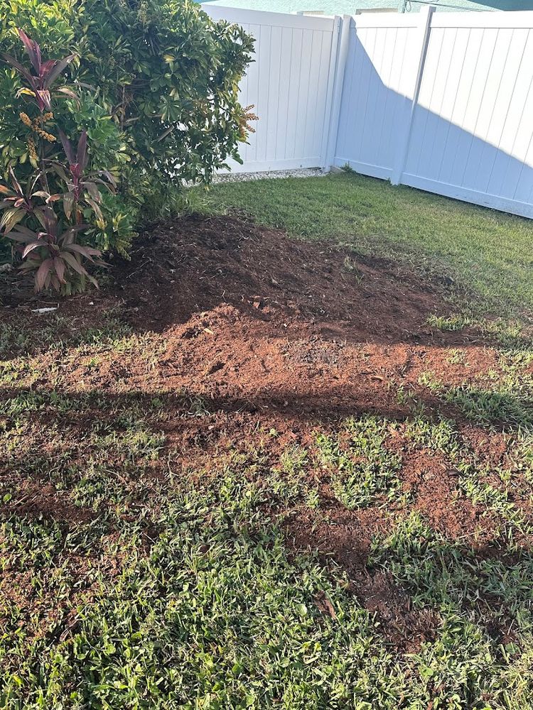 Tree Services for Busy Beaver Stump Removal, Inc in Clearwater, FL