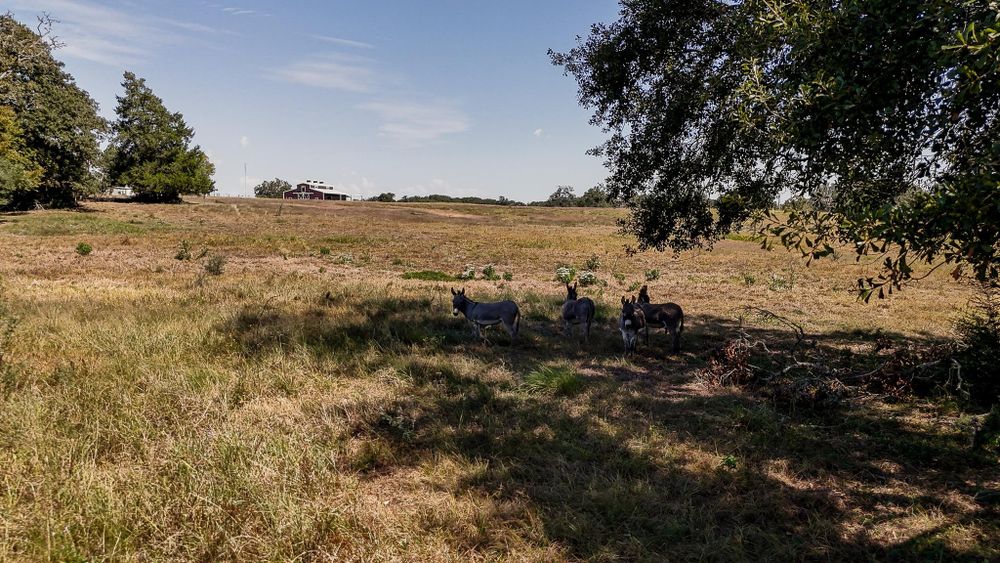 All Photos for CWC Custom Homes & Barndominiums in Snook, TX