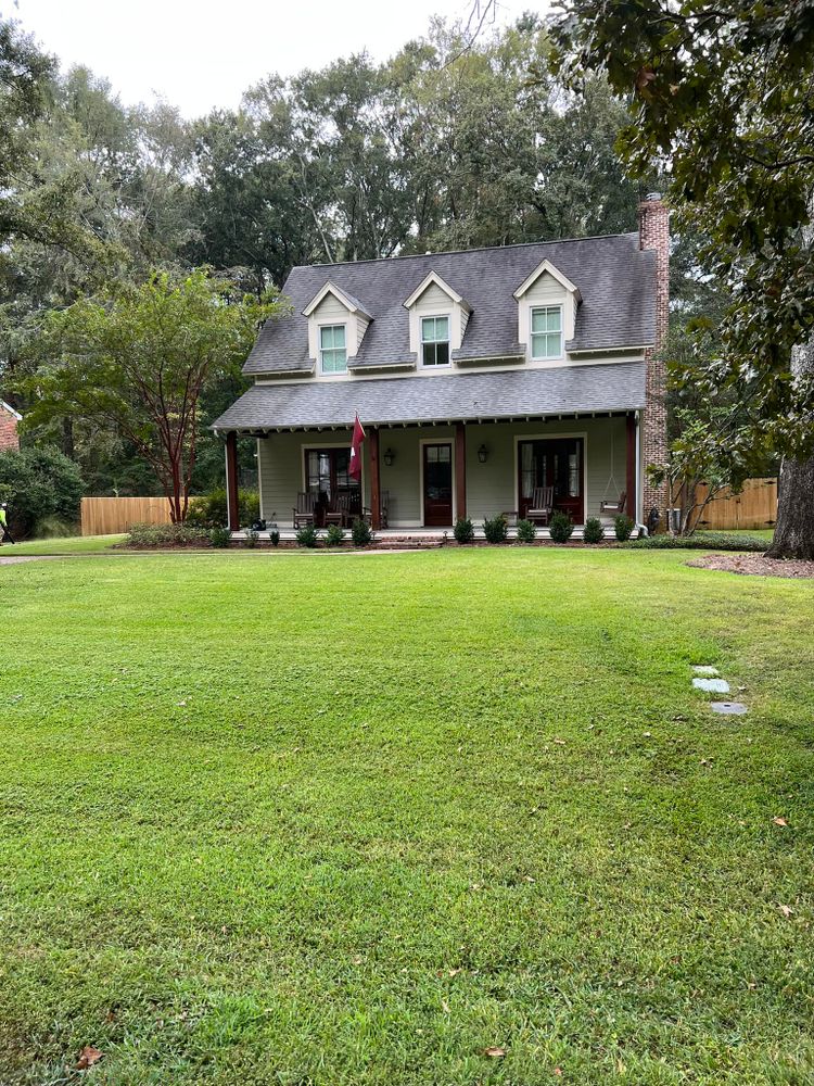 Landscaping for Amis Lawn and Landscape, LLC in Clinton, MS