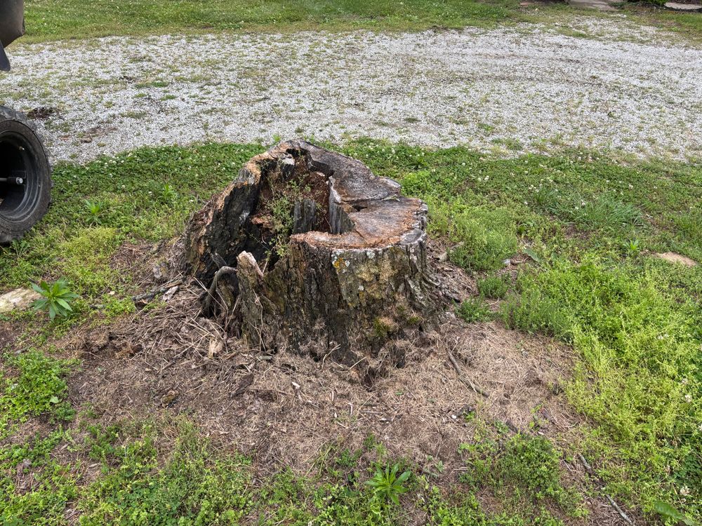 All Photos for Conrad's Stump Removal in Columbus, IN
