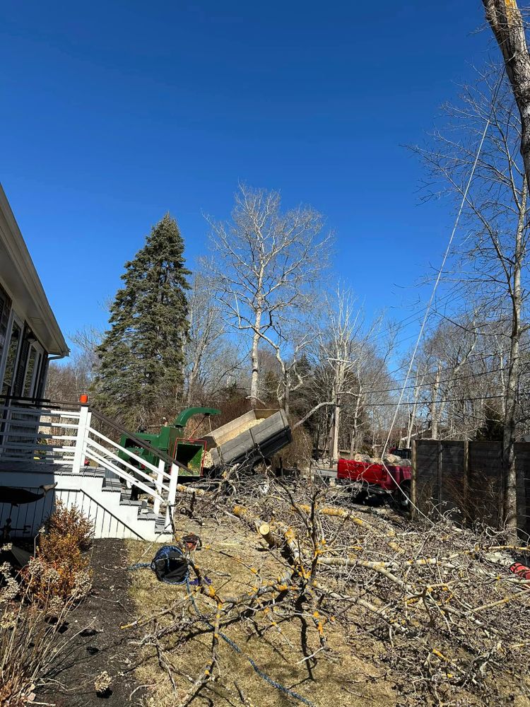 All Photos for Silver City Tree and Landscape in Taunton, MA