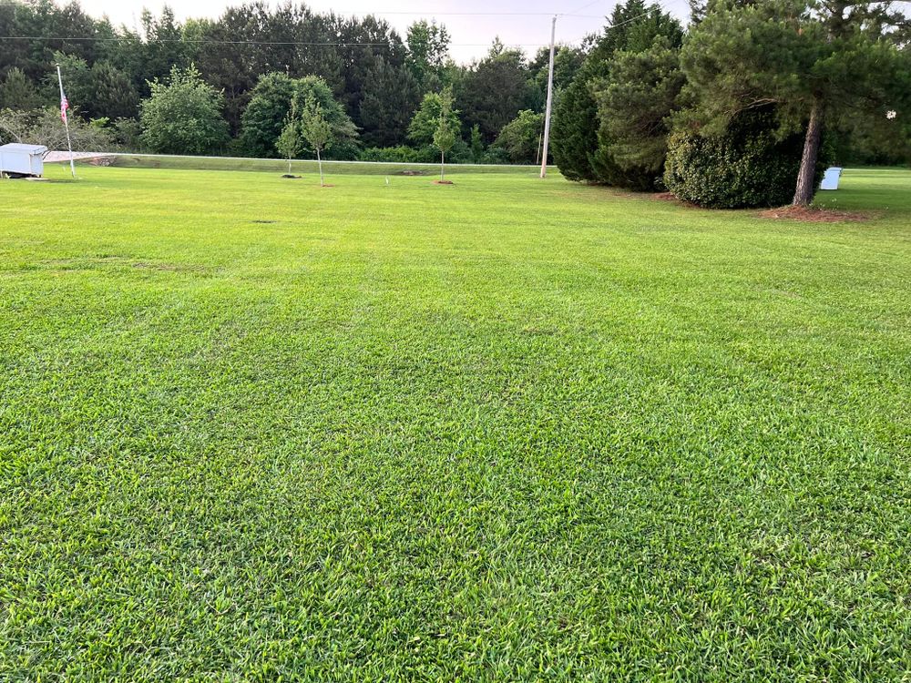 Fall and Spring Clean Up for Battle Lawn Maintenance in Eatonton, GA