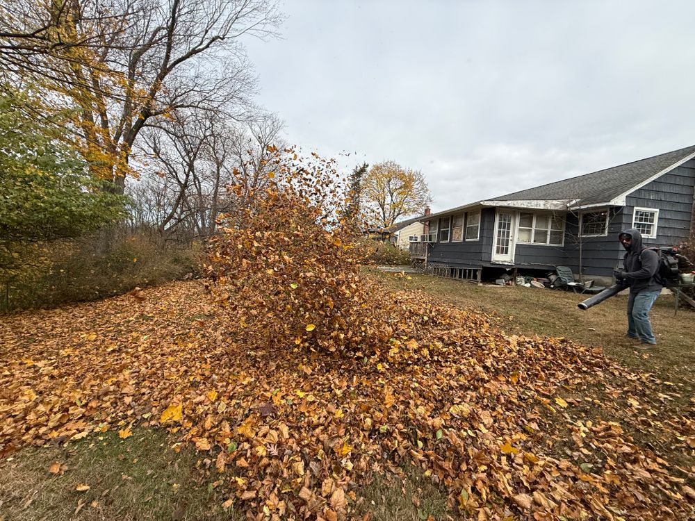 Before & After for Ardisi Landscaping & Design in Poughkeepsie, NY 