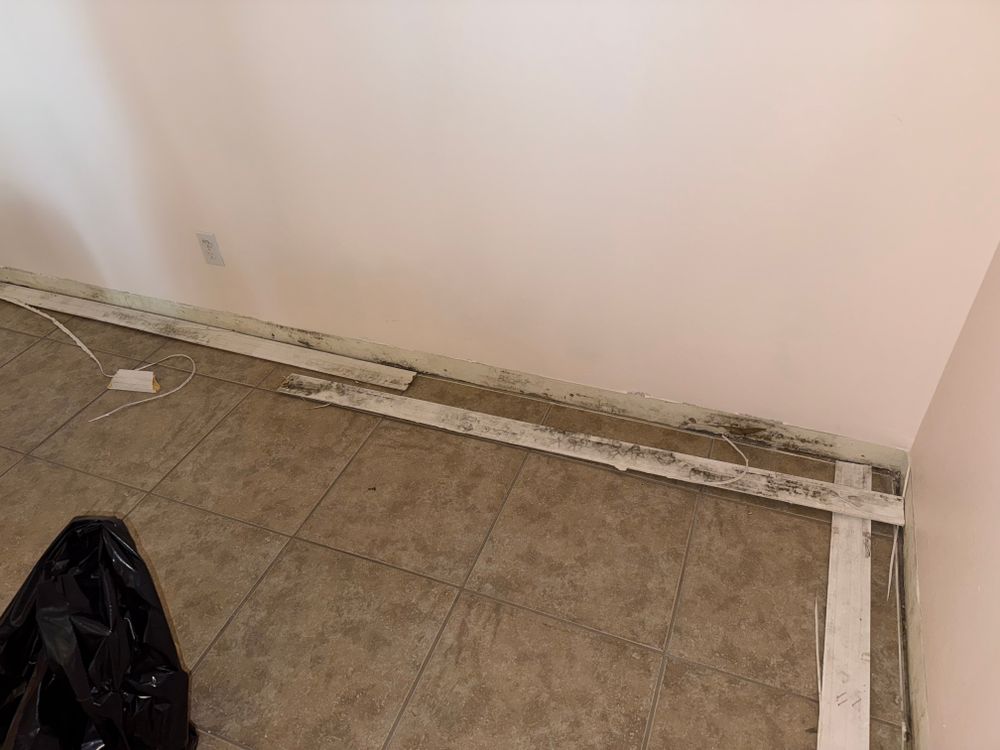All Photos for N&D Restoration Services When Disaster Attacks, We Come In in Cape Coral,  FL