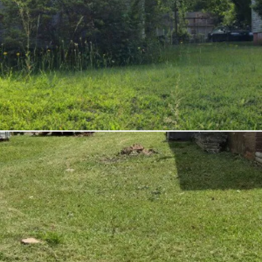 All Photos for Fresh Cut Yard & Lawn Care LLC in Forsyth, GA