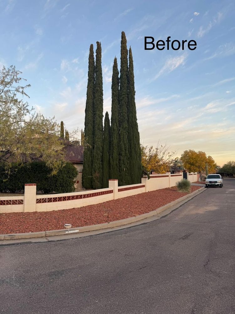 All Photos for By Faith Landscaping in Sierra Vista, AZ