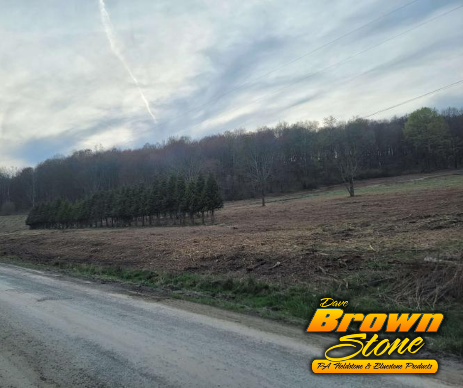 All Photos for Dave Brown Stone LLC in Scranton, Pennsylvania